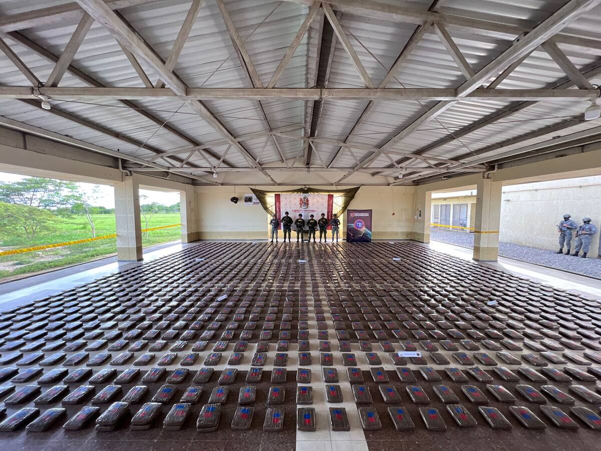 Incautan más de una tonelada y media de marihuana en Casanare