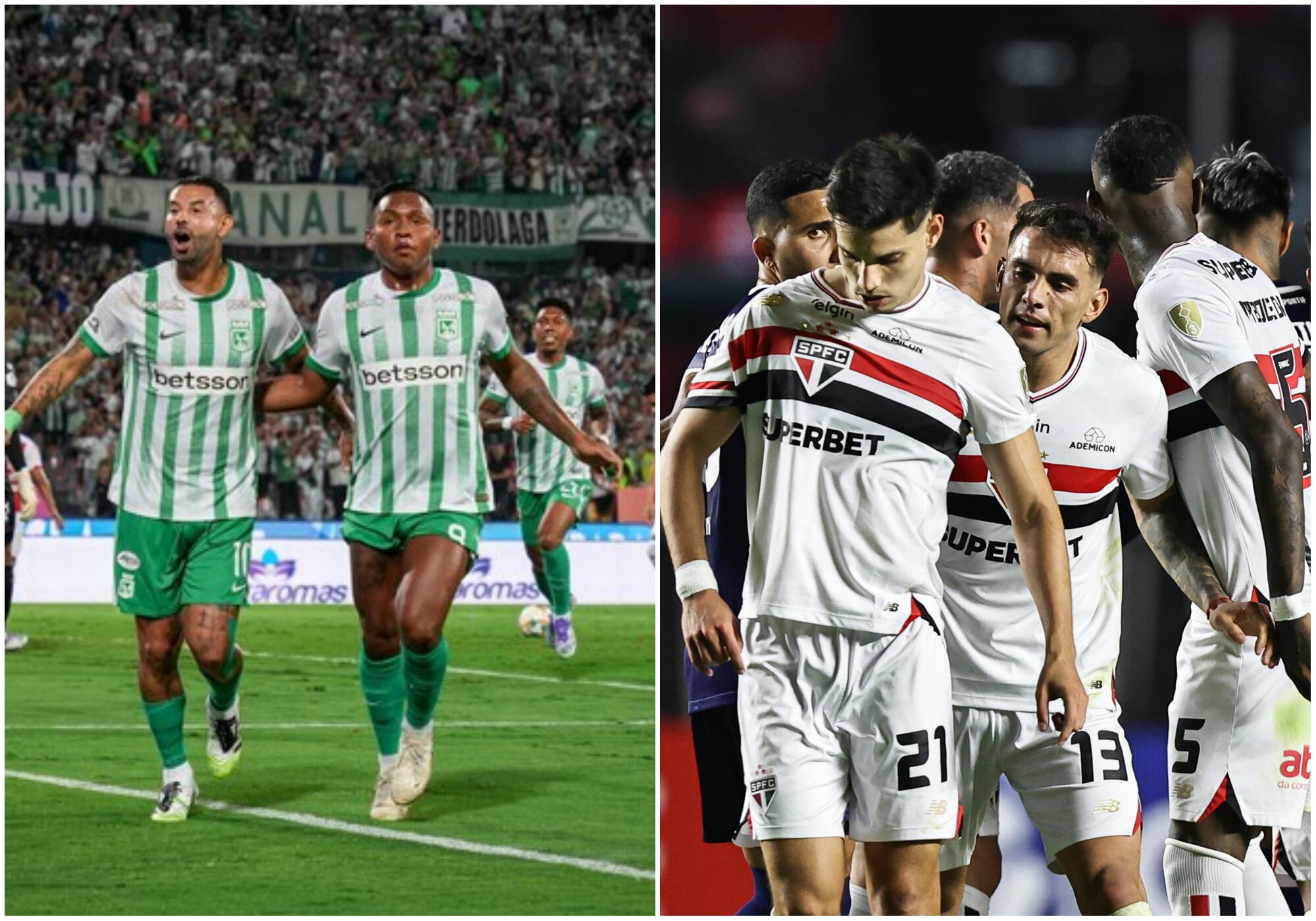 Prográmese: fecha, hora y por dónde ver Atlético Nacional vs. São Paulo por Copa Libertadores. Foto: Colprensa/ EFE.