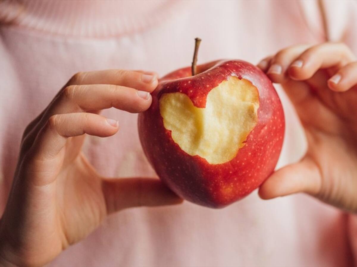 Banco de Alimentos de Bogotá cumple 20 años de labor social