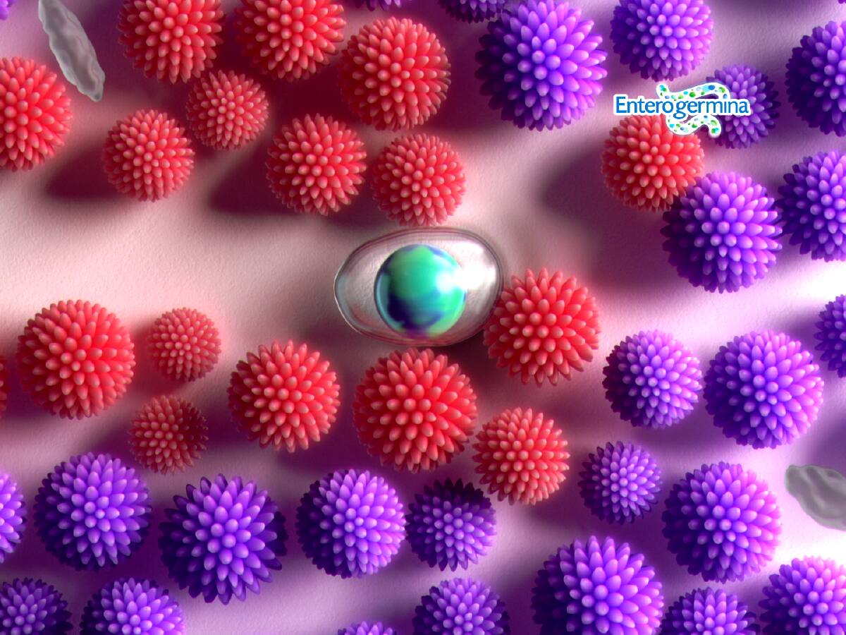 ¿Cuándo se debe tomar un probiótico y cuál elegir? Experta en gastroenterología responde