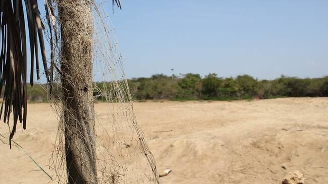 Después de presentado el informe y de que se sepan las condiciones de tradición de los predios, EnTerritorio decidirá si los comercializa. Foto: Colprensa