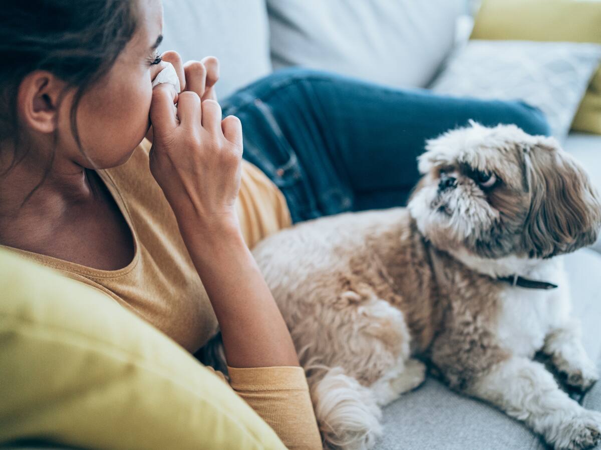 Alergia a las mascotas: Estos son los síntomas clave y tratamientos