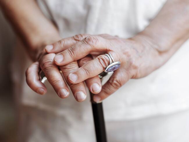 Imagen de referencia.