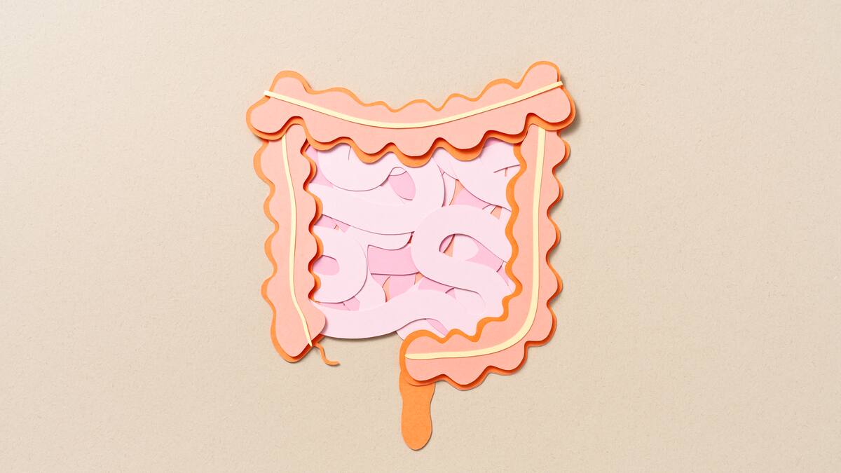 ¿Cómo recuperar el metabolismo despues de los excesos de fin de año? Expertó explicó