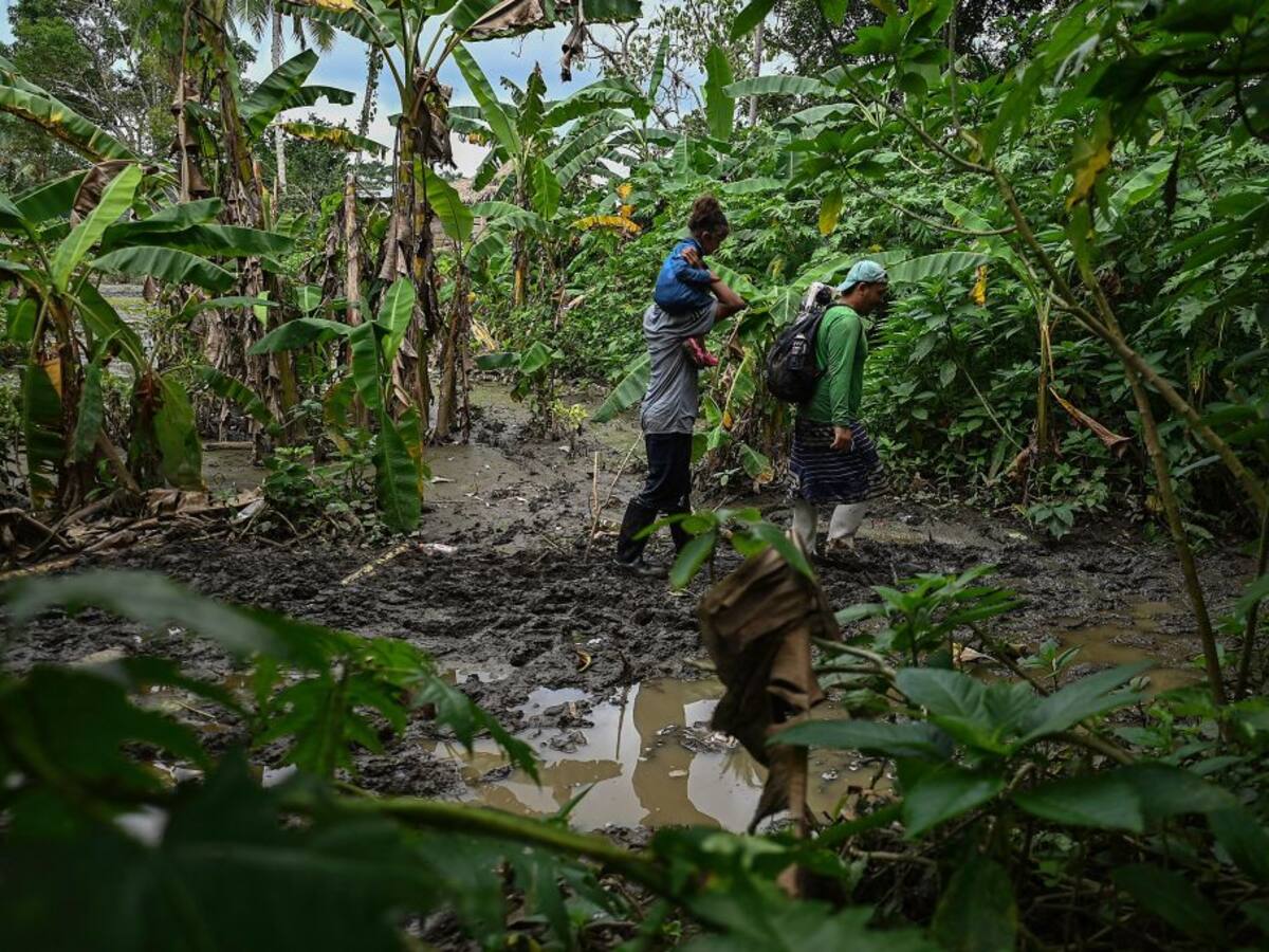 Más de 45.000 migrantes cruzaron el Darién en lo que va de año