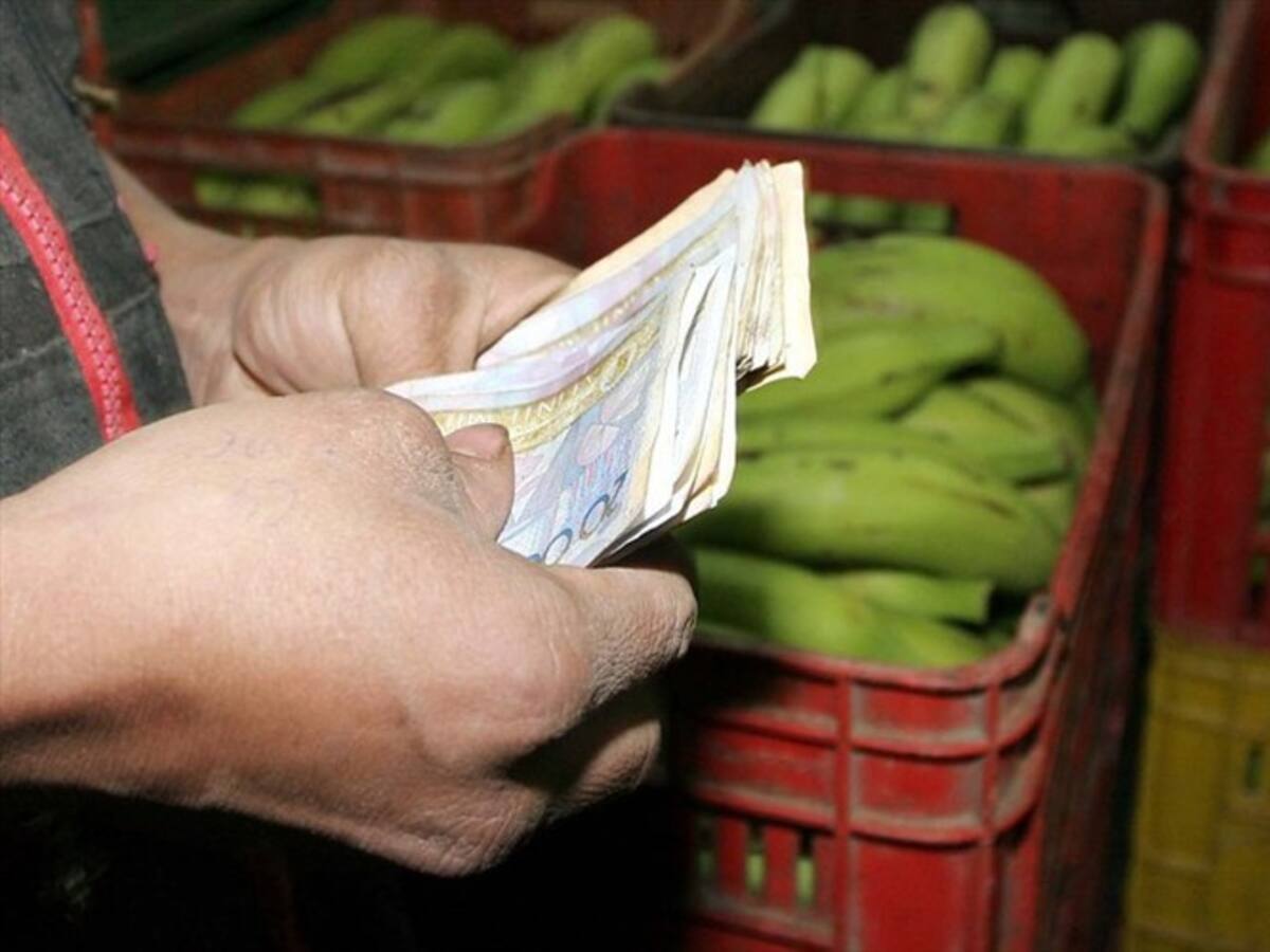 Exenciones de IVA favorecen a los más ricos: OCDE