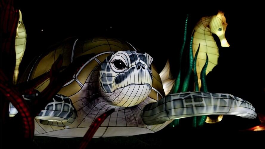 Festival Brilla Colombia. Foto: #AliadosW