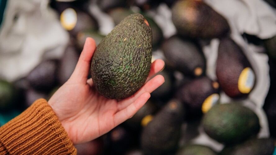 ProColombia informó que el próximo 17 de mayo saldrá vía aérea la primera exportación de aguacate colombiano a Corea del Sur. Foto: Getty Images / OSCAR WONG