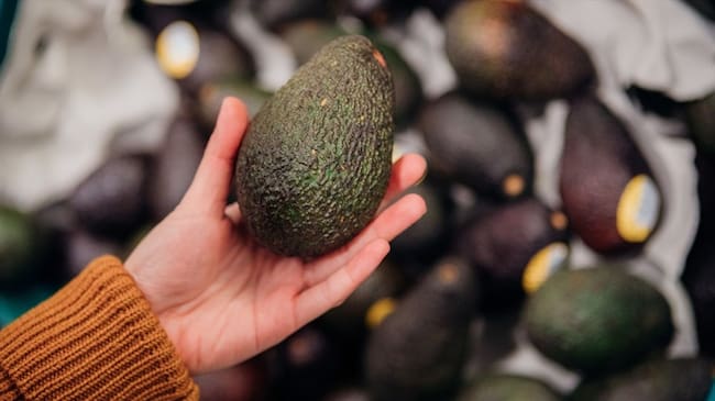 ProColombia informó que el próximo 17 de mayo saldrá vía aérea la primera exportación de aguacate colombiano a Corea del Sur. Foto: Getty Images / OSCAR WONG