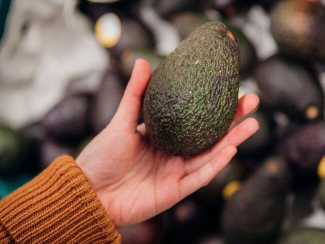 ProColombia informó que el próximo 17 de mayo saldrá vía aérea la primera exportación de aguacate colombiano a Corea del Sur. Foto: Getty Images / OSCAR WONG