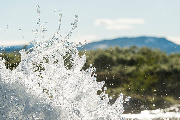 Imagen de referencia