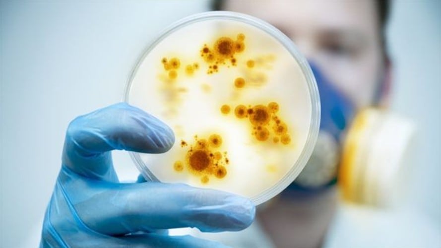 El mapa que muestra los nuevos virus que azotan a América Latina. Foto: BBC Mundo