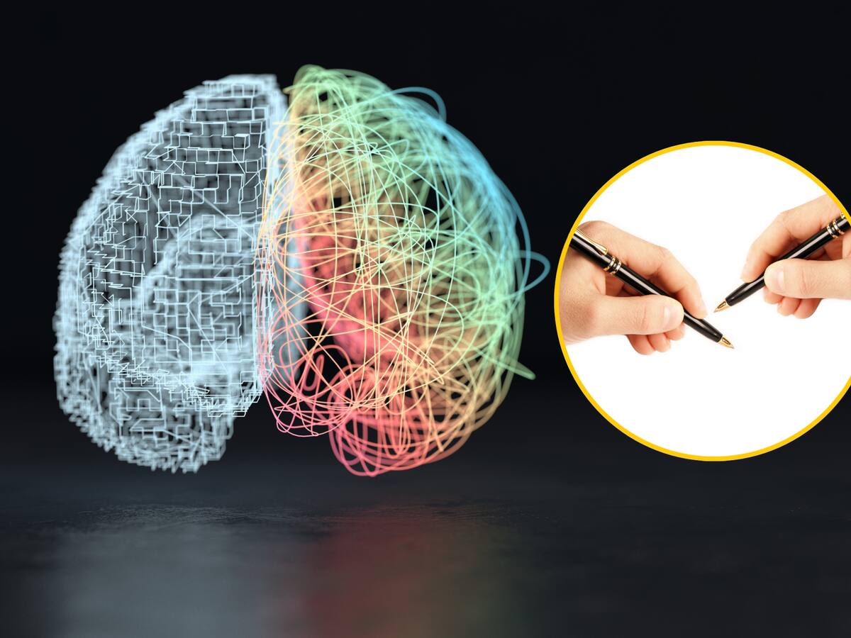 ¿Funcionamiento del cerebro cambia en personas diestras y zurdas? Neurólogo explicó diferencias