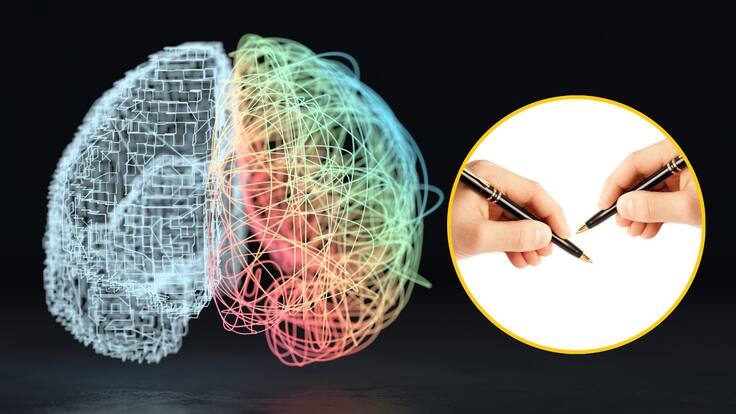 ¿Funcionamiento del cerebro cambia en personas diestras y zurdas? Neurólogo explicó diferencias