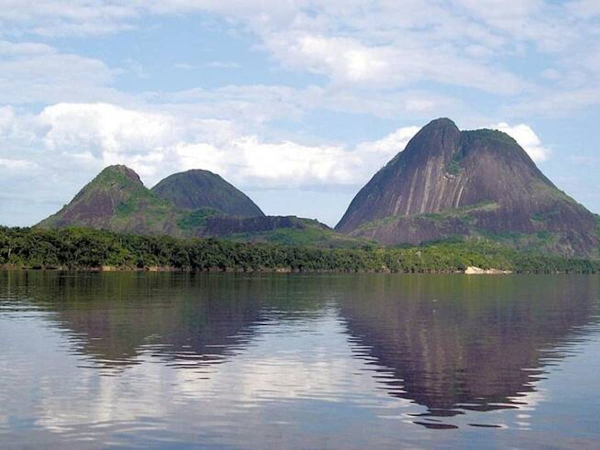 ¿Qué es la estrella fluvial de Inírida? Se encuentra en Guainía