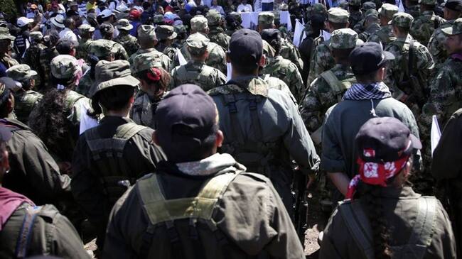 Imagen de referencia. Foto: Colprensa