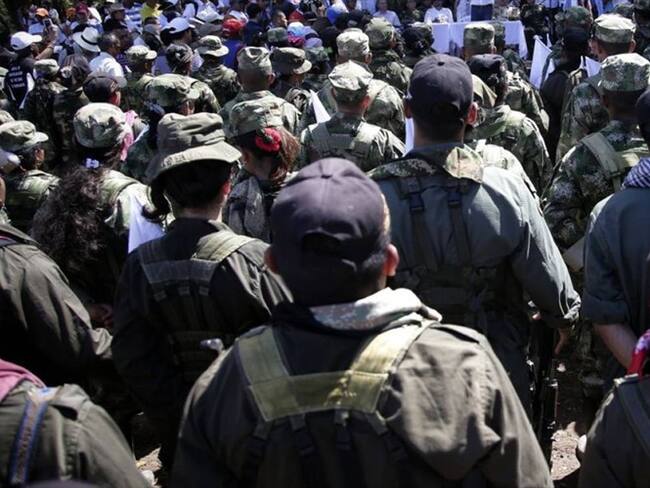 Imagen de referencia. Foto: Colprensa