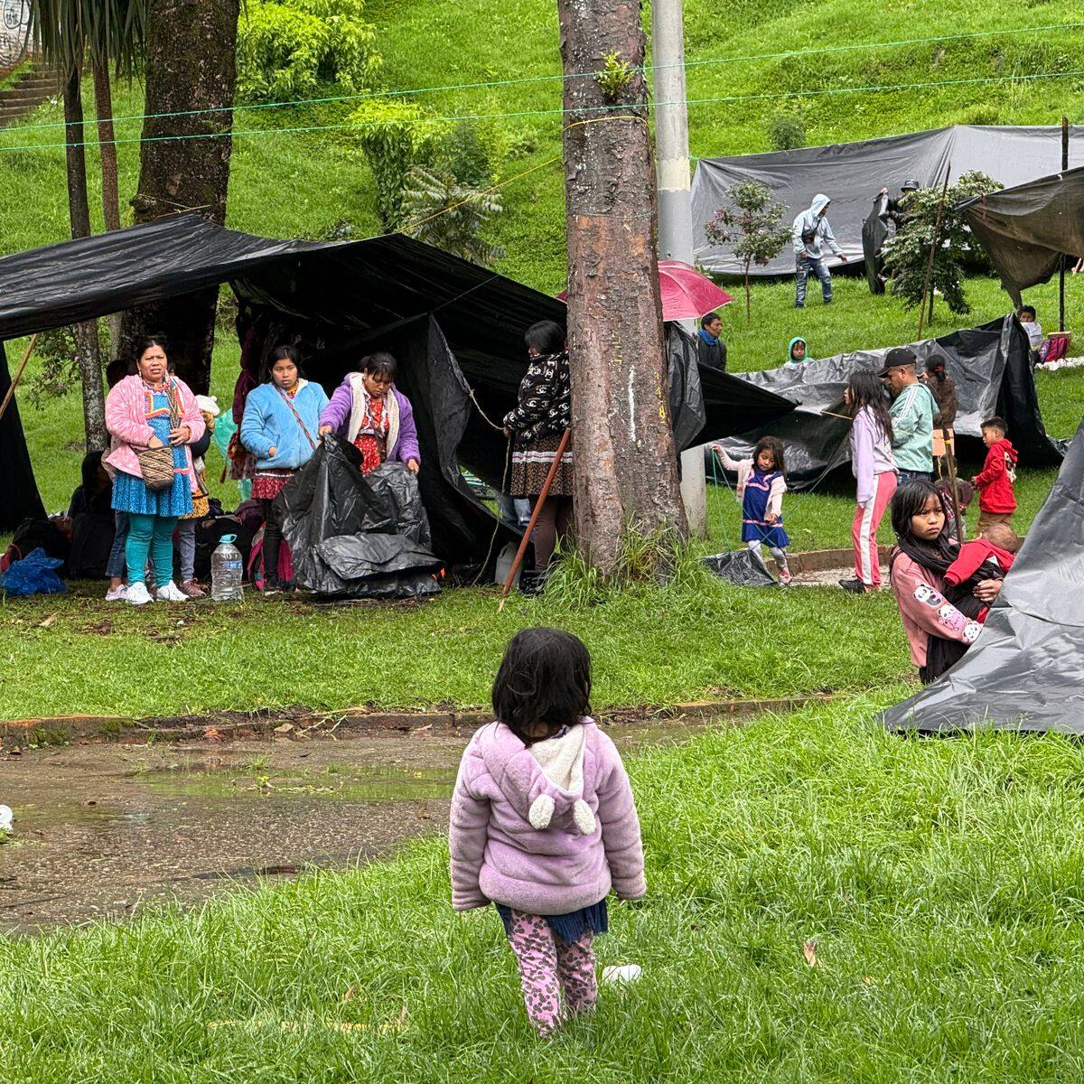 Alcaldía de Bogotá pide apoyo urgente de Policía e ICBF en el Parque Nacional donde están los Emberá