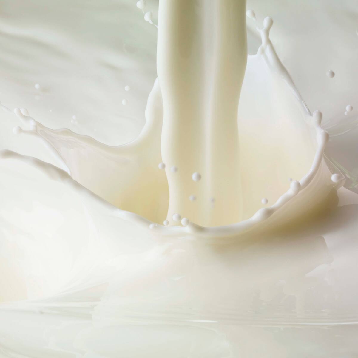 Preocupación en los procesadores de leche por marcado descenso en el consumo de lácteos