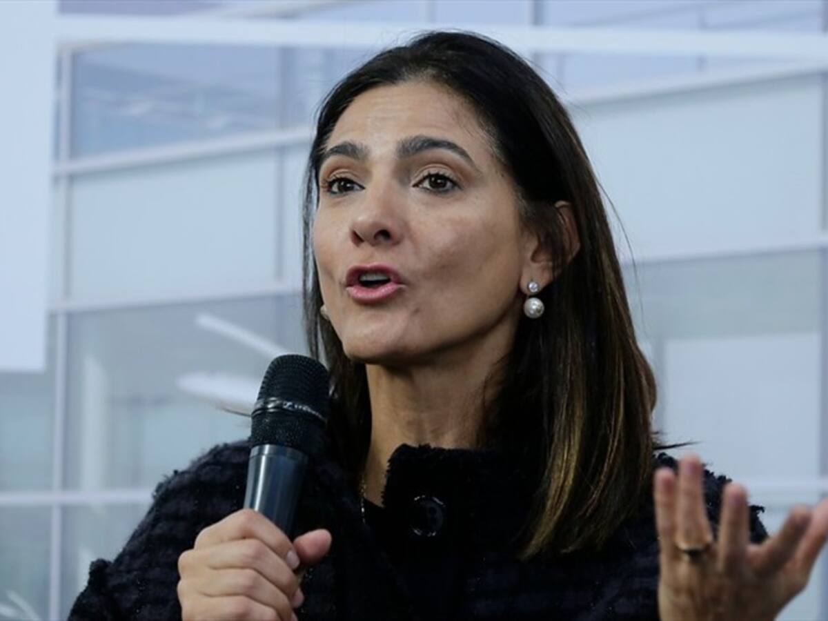 Tras dos años, conectividad de la región Andina con Orinoquía y Amazonía será reactivada