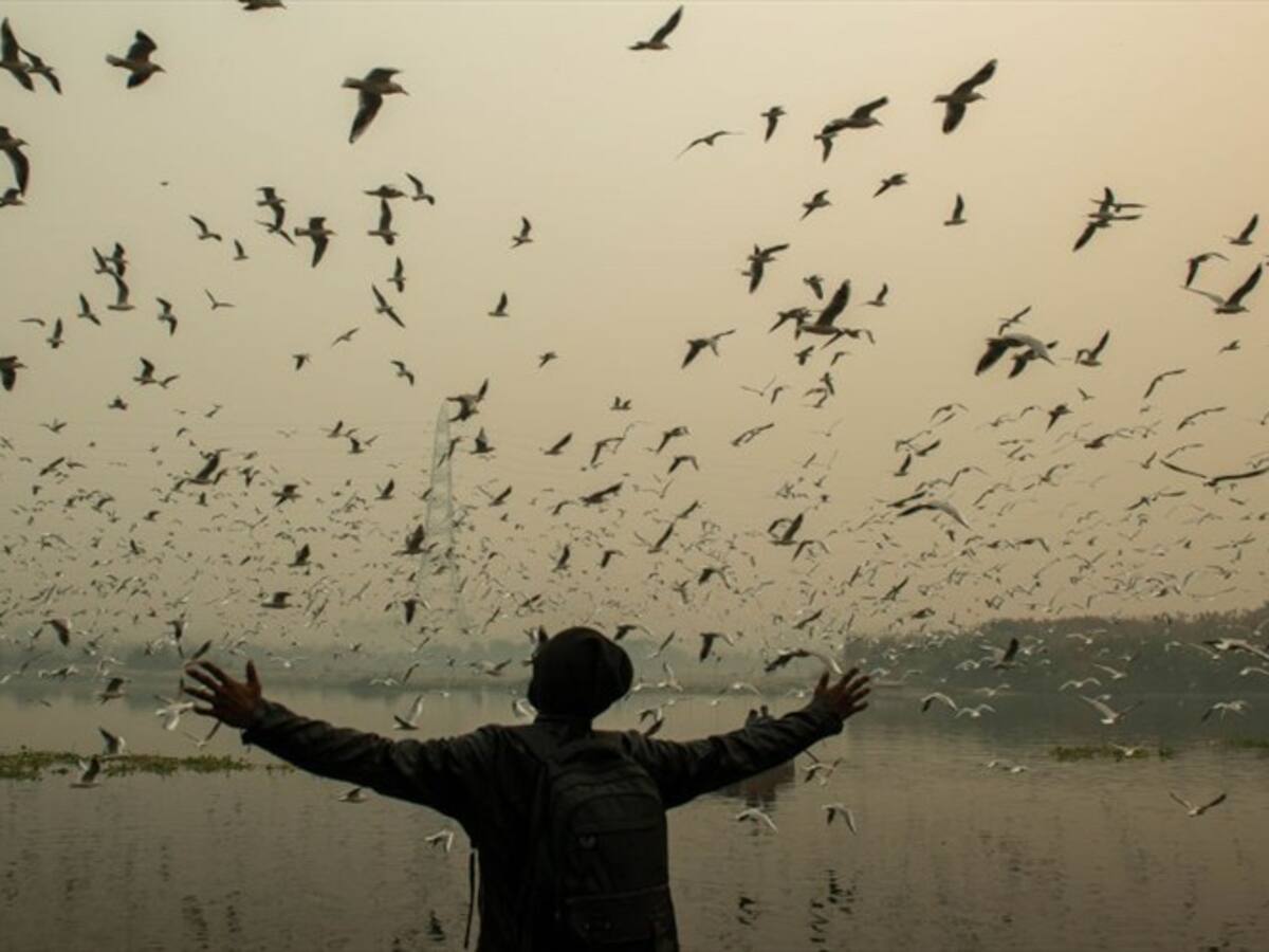 TOP 10: Me volvió el alma al cuerpo