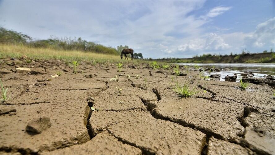 86 barrios de la ciudad están en alto nivel de vulnerabilidad por la sequía. Foto: Colprensa