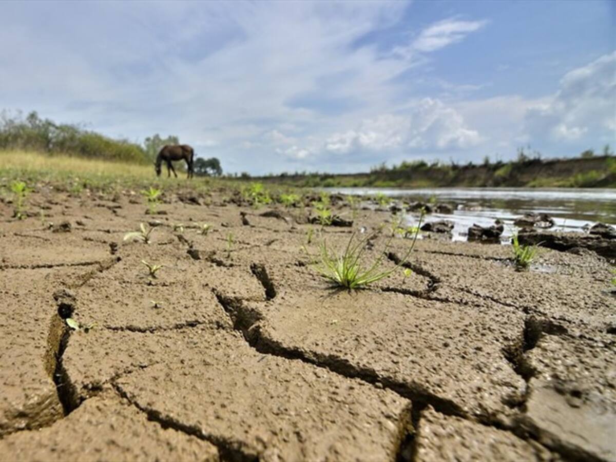 Más de 80 barrios de Santa Marta están en alto nivel de vulnerabilidad por sequía