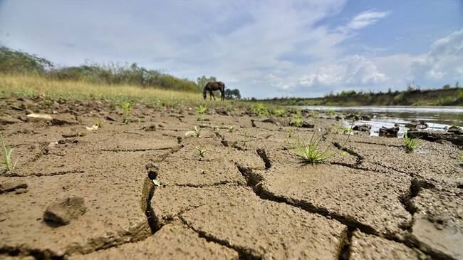 86 barrios de la ciudad están en alto nivel de vulnerabilidad por la sequía. Foto: Colprensa