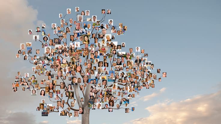 ¿Qué son las constelaciones familiares? Experta explica esta técnica terapéutica