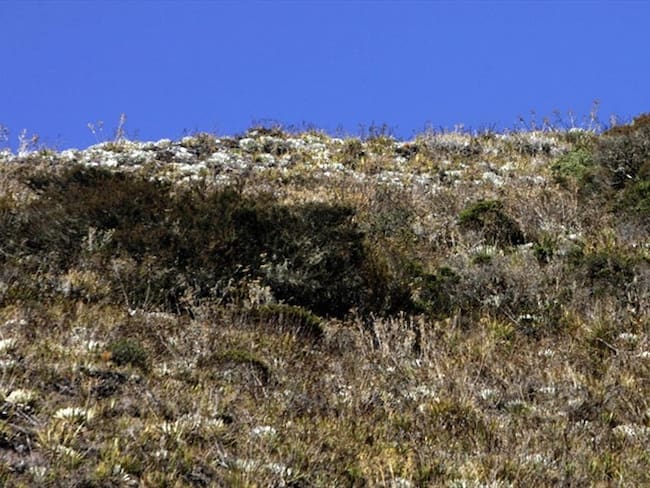 Corpoboyacá abre proceso sancionatorio a alcalde de Socotá