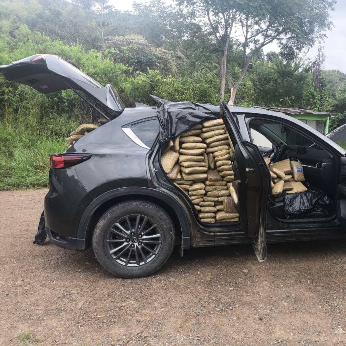 Fue incautado un cargamento de marihuana en una camioneta en La Plata, Huila