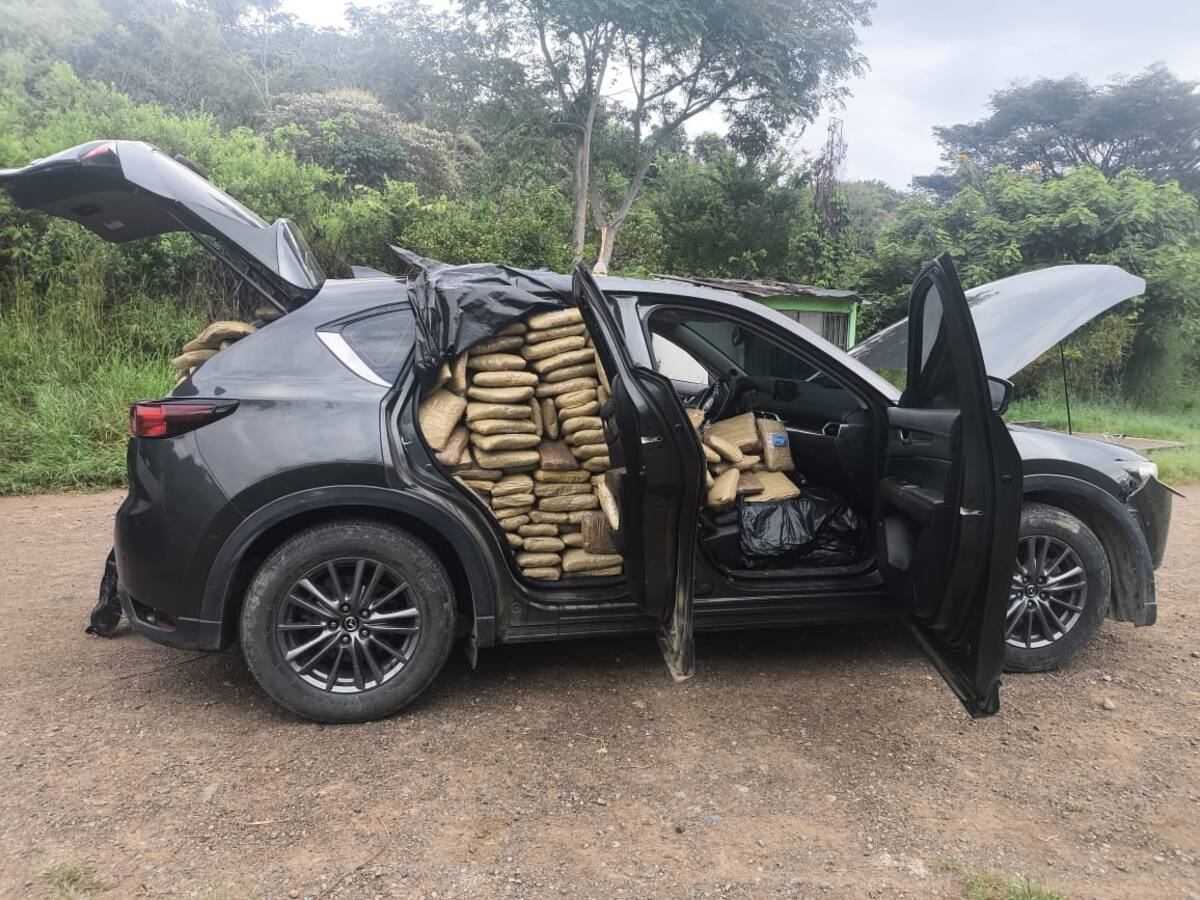 Fue incautado un cargamento de marihuana en una camioneta en La Plata, Huila