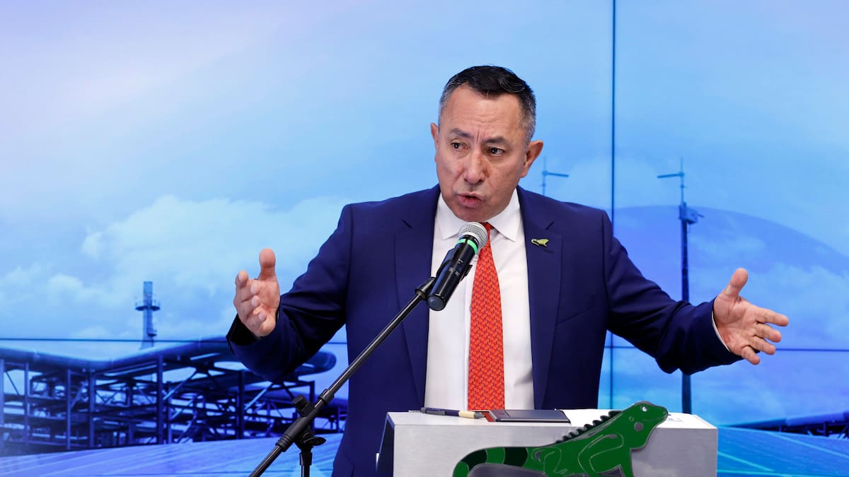 Por “falta de competencia”, defensa de Ricardo Roa pide archivo de investigación en CNE