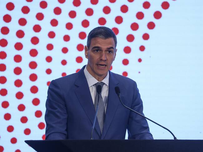 Pedro Sánchez, presidente de España.EFE/EPA/DIVYAKANT SOLANKI