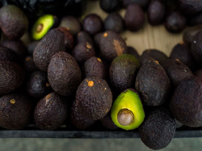 Aguacate Hass, Colombia. Foto: Jan Sochor/Getty Images.