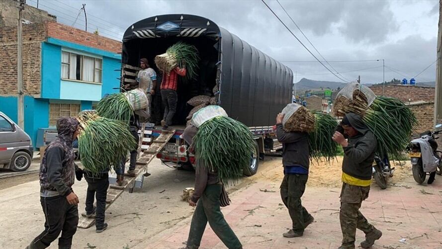 Fue ante la Superintendencia de Industria y Comercio que los productores interpusieron la demanda.. Foto: La W