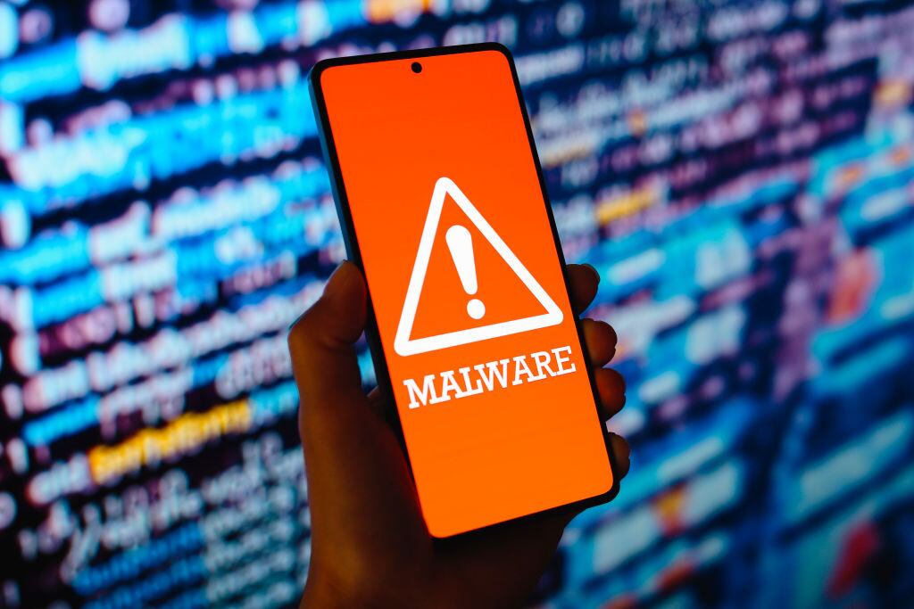 Malware. I Foto ilustración: Jaque Silva/SOPA Images/LightRocket via Getty Images.