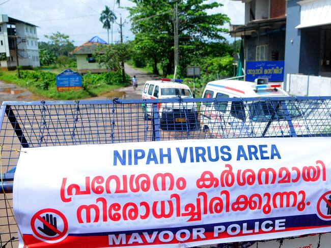 Nuevo virus en la India - Getty Images