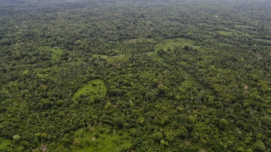 Daniel Rico, director de C-Análisis, explicó en Sigue La W que el sistema del narcotráfico se ha venido sofisticando.. Foto: Colprensa - Álvaro Tavera