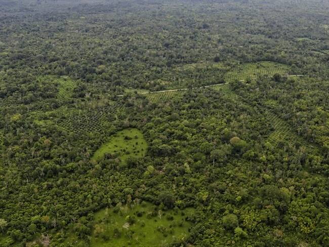 Daniel Rico, director de C-Análisis, explicó en Sigue La W que el sistema del narcotráfico se ha venido sofisticando.. Foto: Colprensa - Álvaro Tavera