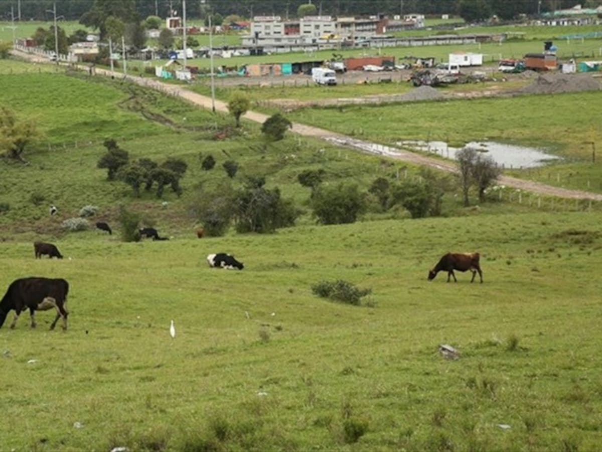 CAR deberá decidir si apela fallo sobre Reserva Van der Hammen