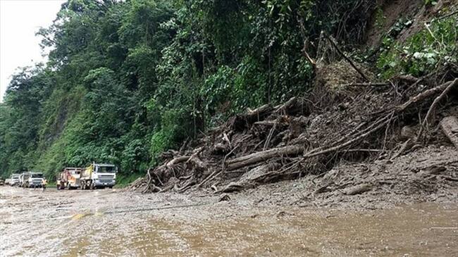 Foto: Colprensa. Foto: (Referencia)