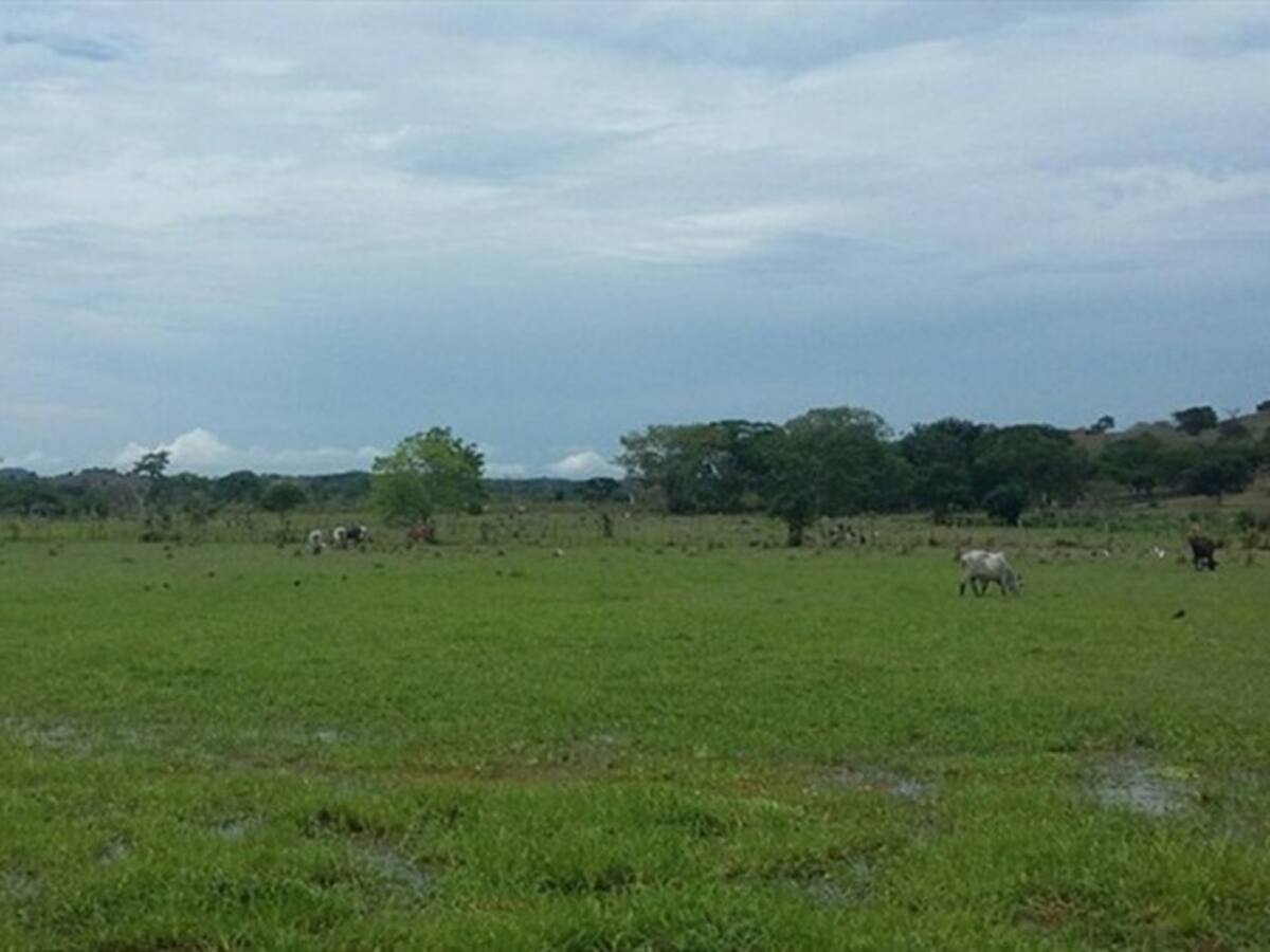 Meta de acuerdos de paz sobre tierras podría cumplirse en mitad del tiempo estipulado