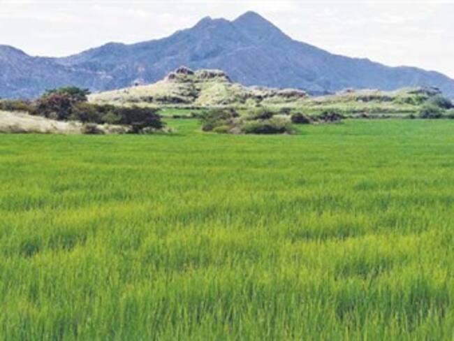 Aprueban recursos por $62.000 millones en regalías para Huila