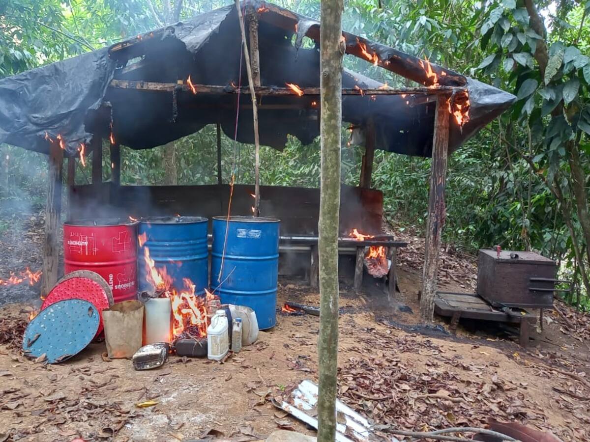 Destruyen 13 laboratorios para el procesamiento de coca en Tierralta, sur de Córdoba