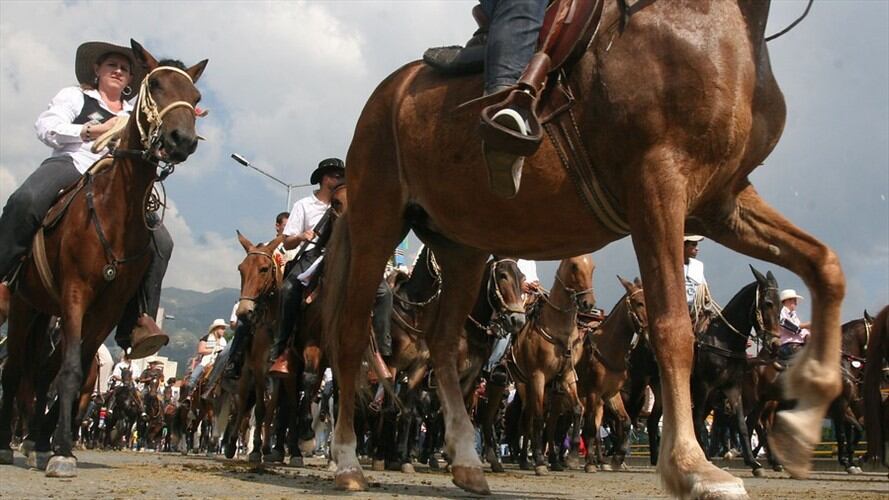 Cámara debate proyecto de ley que instituiría las cabalgatas como actividad económica en el país. Foto: Colprensa