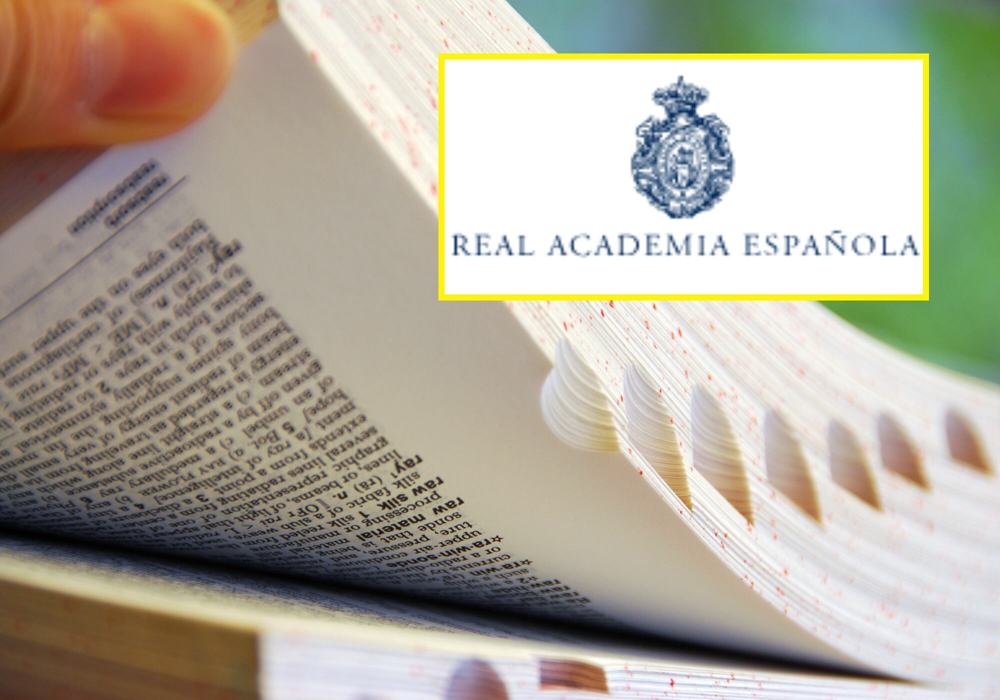 Real Academia Española. Foto: Getty Images.
