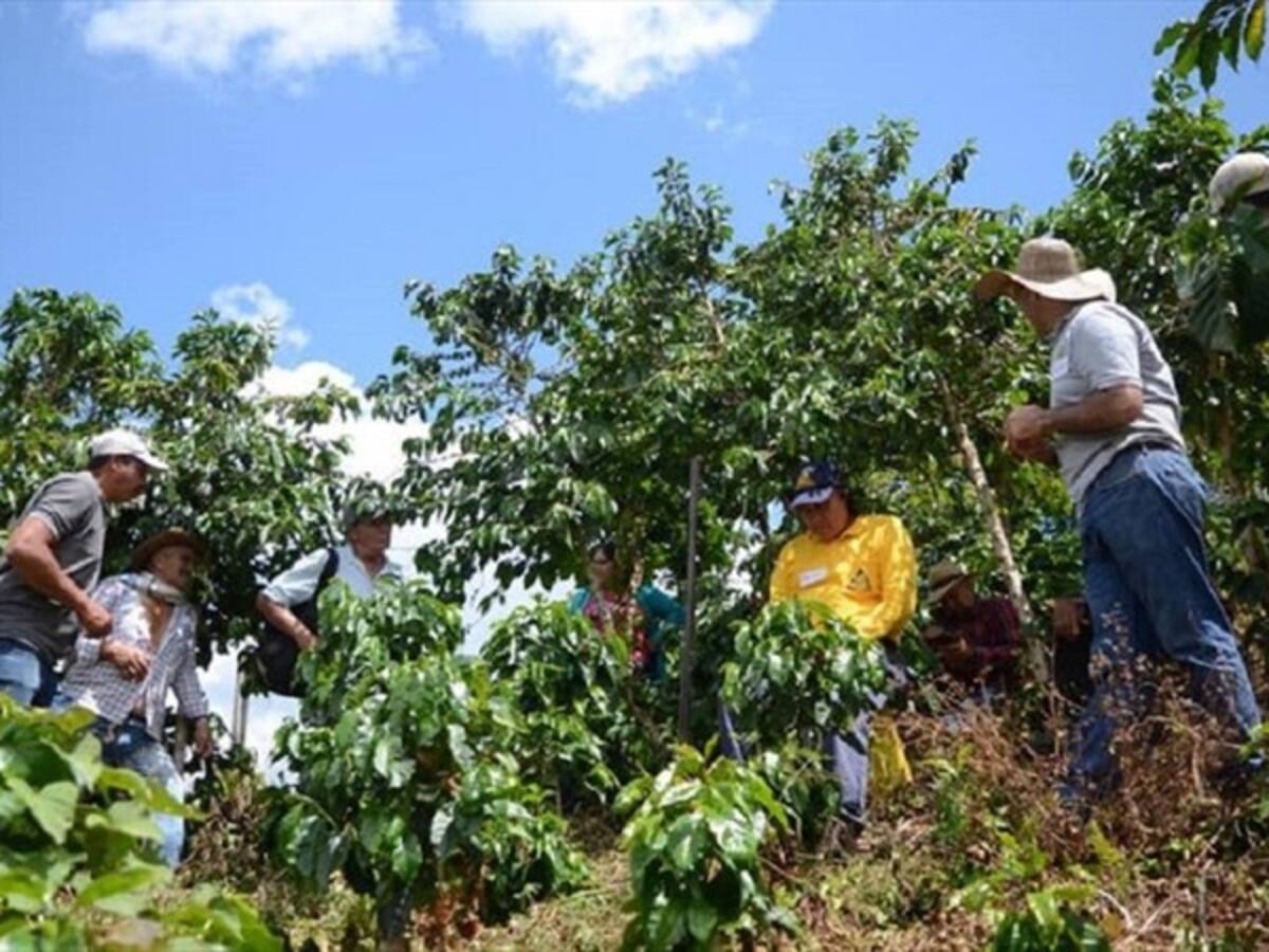 Las quemas afectan la biodiversidad, desplazan la fauna silvestre