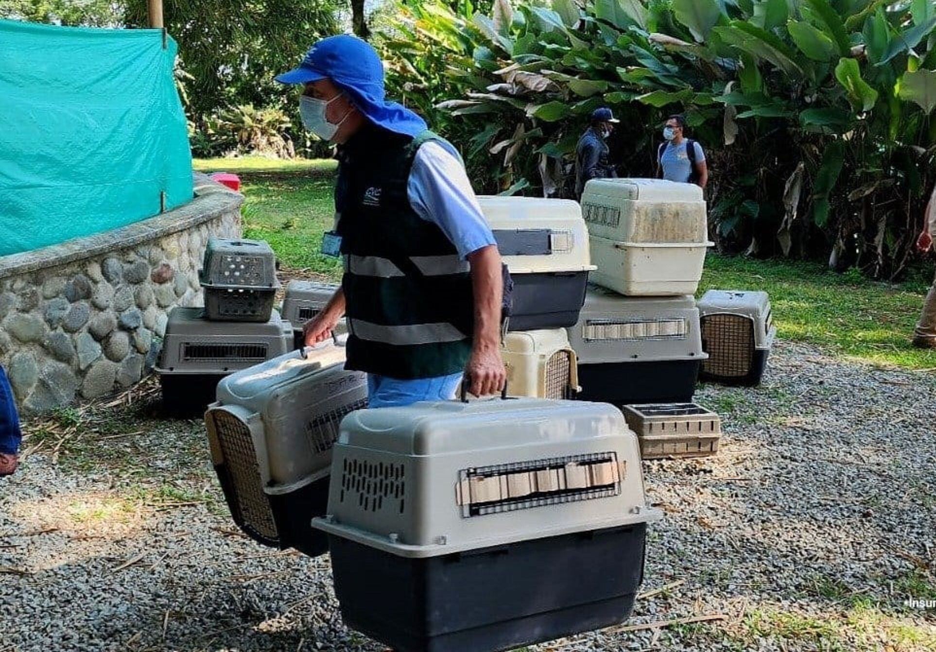 La suspensión de las actividades del establecimiento aplicará por un término de 10 días. Foto: Fiscalía.