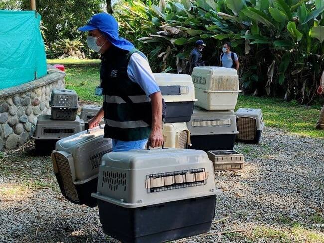 La suspensión de las actividades del establecimiento aplicará por un término de 10 días. Foto: Fiscalía.